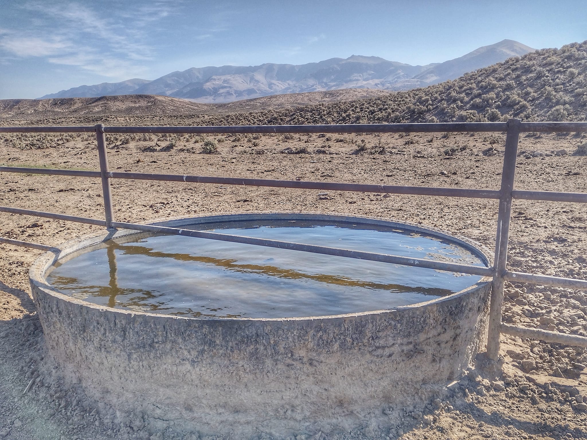 Cattle trough filled with water in Nevada.