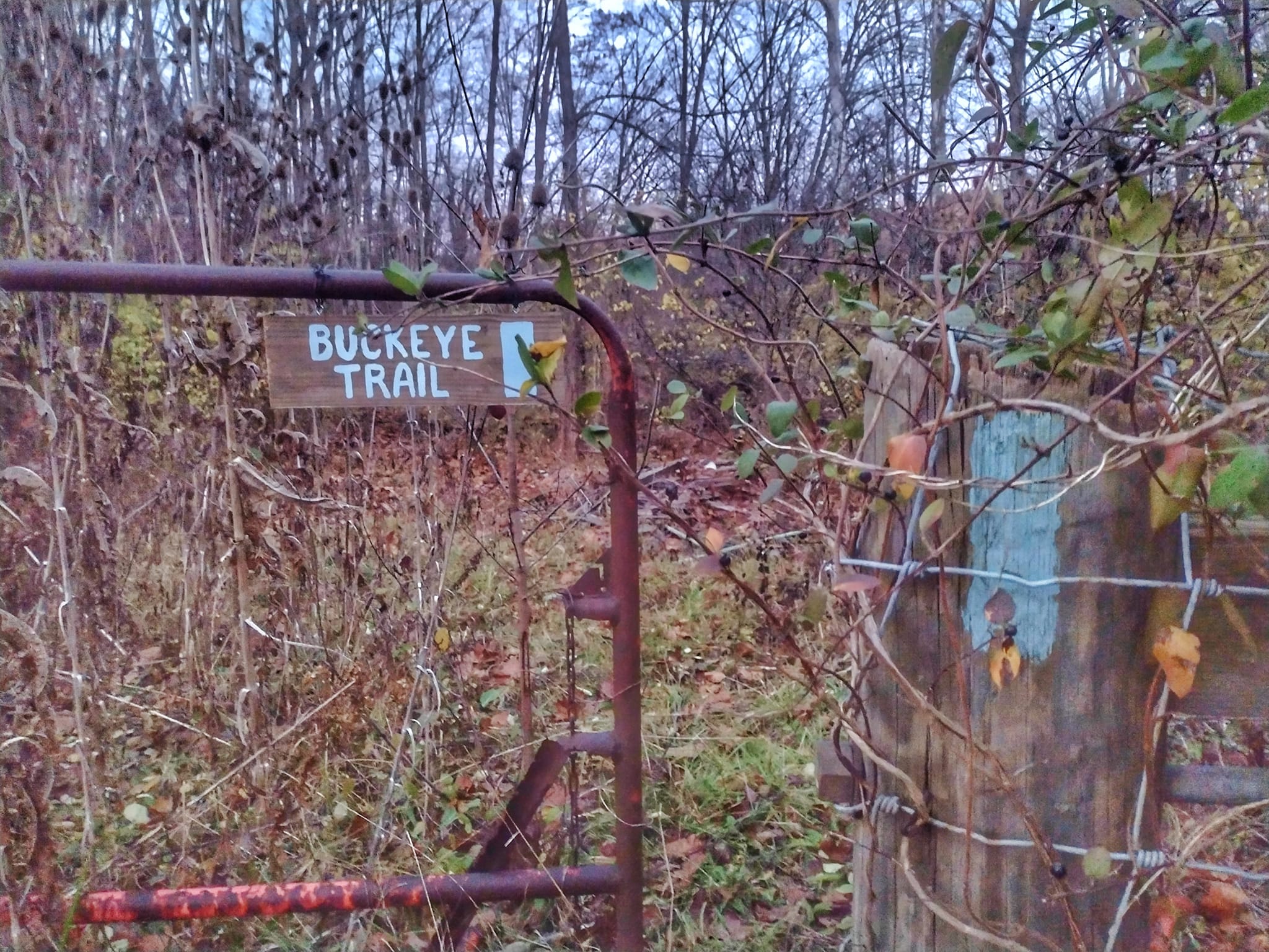 Buckeye Trail sign on a fence gate next to a blue blaze painted on a wood post. - Photo courtesy/Bernie Krausse