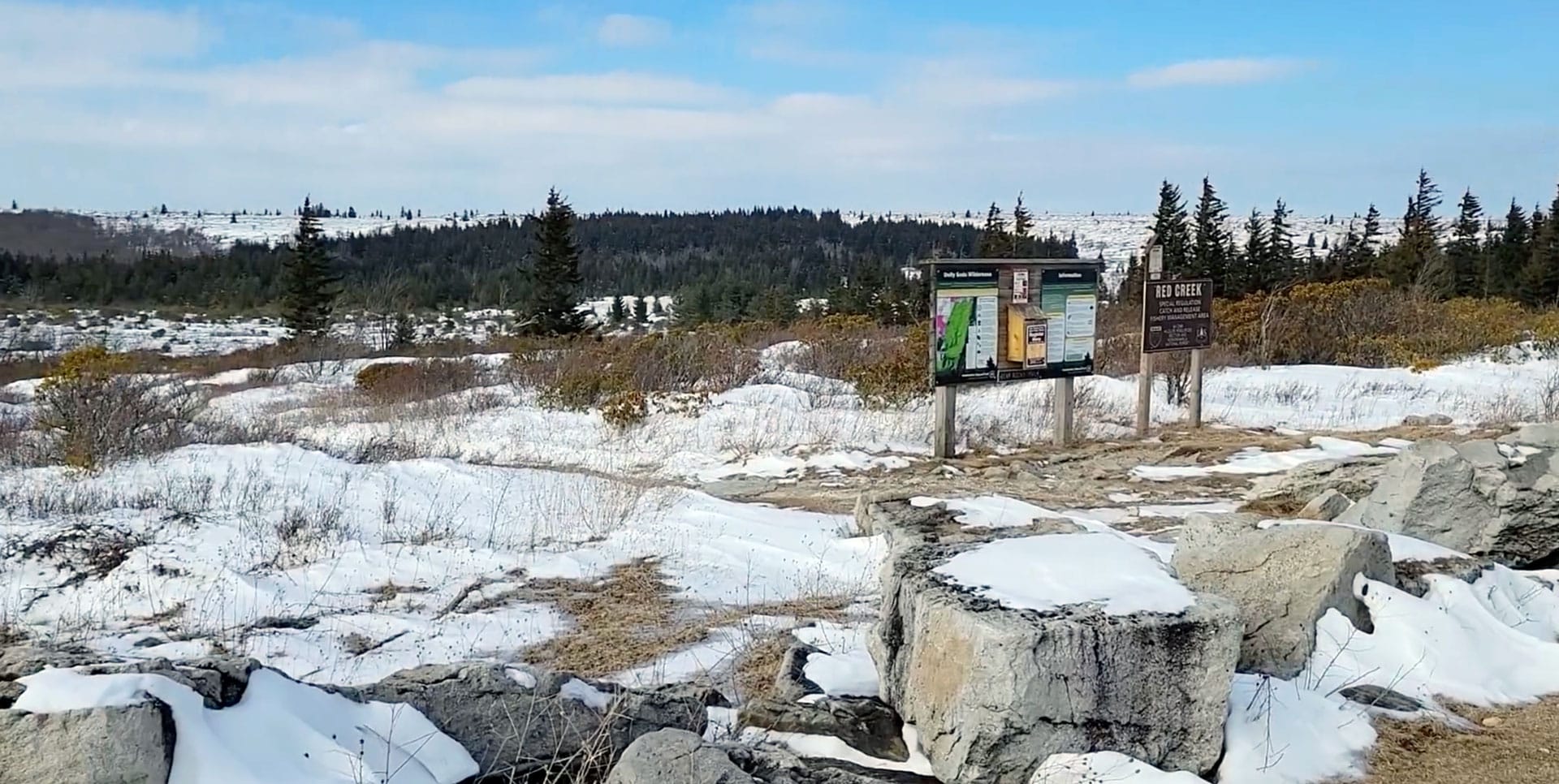 Travis Tops Out on Dolly Sods