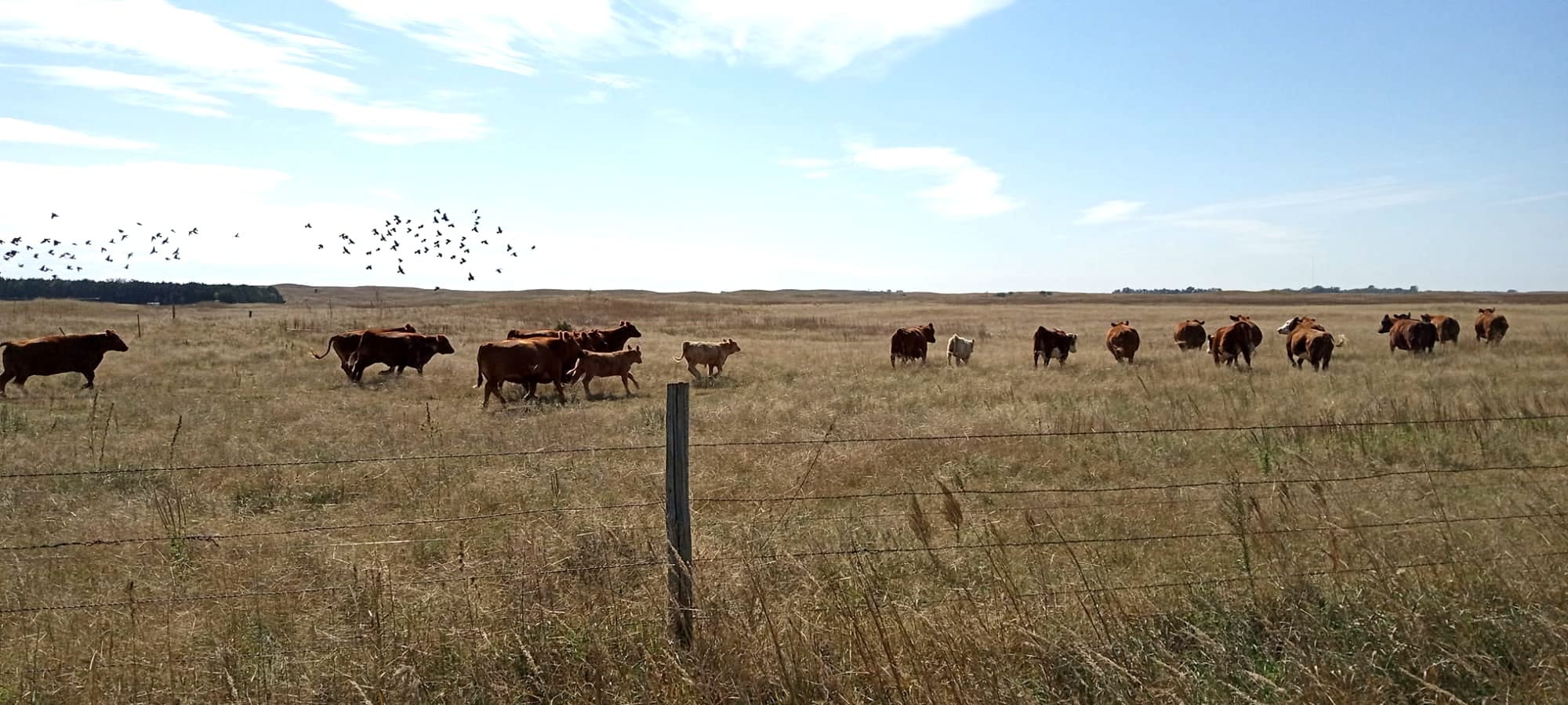 Winter Updates: 80+ New Nebraska Waypoints and Trail Intel