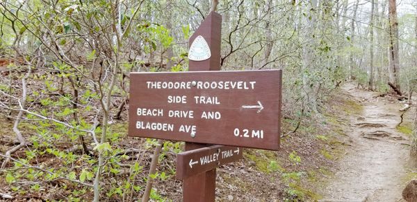 Valley Trail in Washington, D.C. - John Wesley Brett