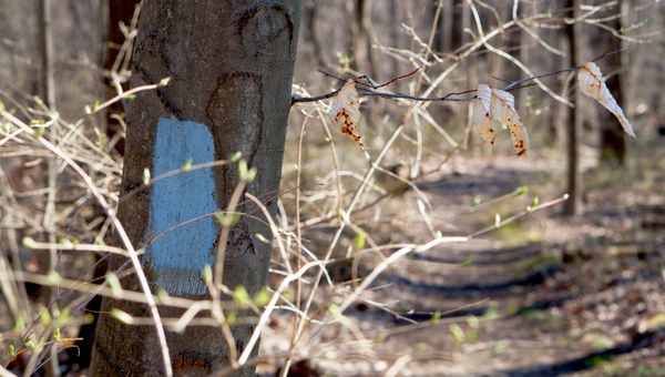 Ohio - Buckeye Trail Updates