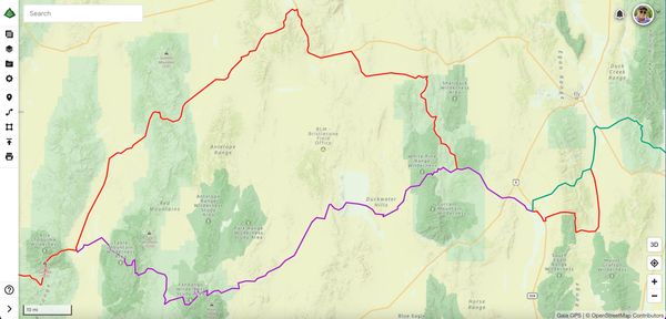 Nevada Reroute Increases Crossing Success