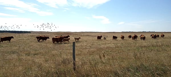 Winter Updates: 80+ New Nebraska Waypoints and Trail Intel