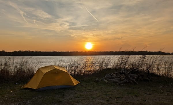 Popeye, Highland Cows, and an 80-to-15 Degree Weather Whiplash